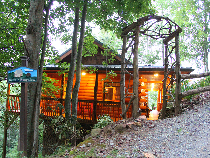 Buffalo Bungalow